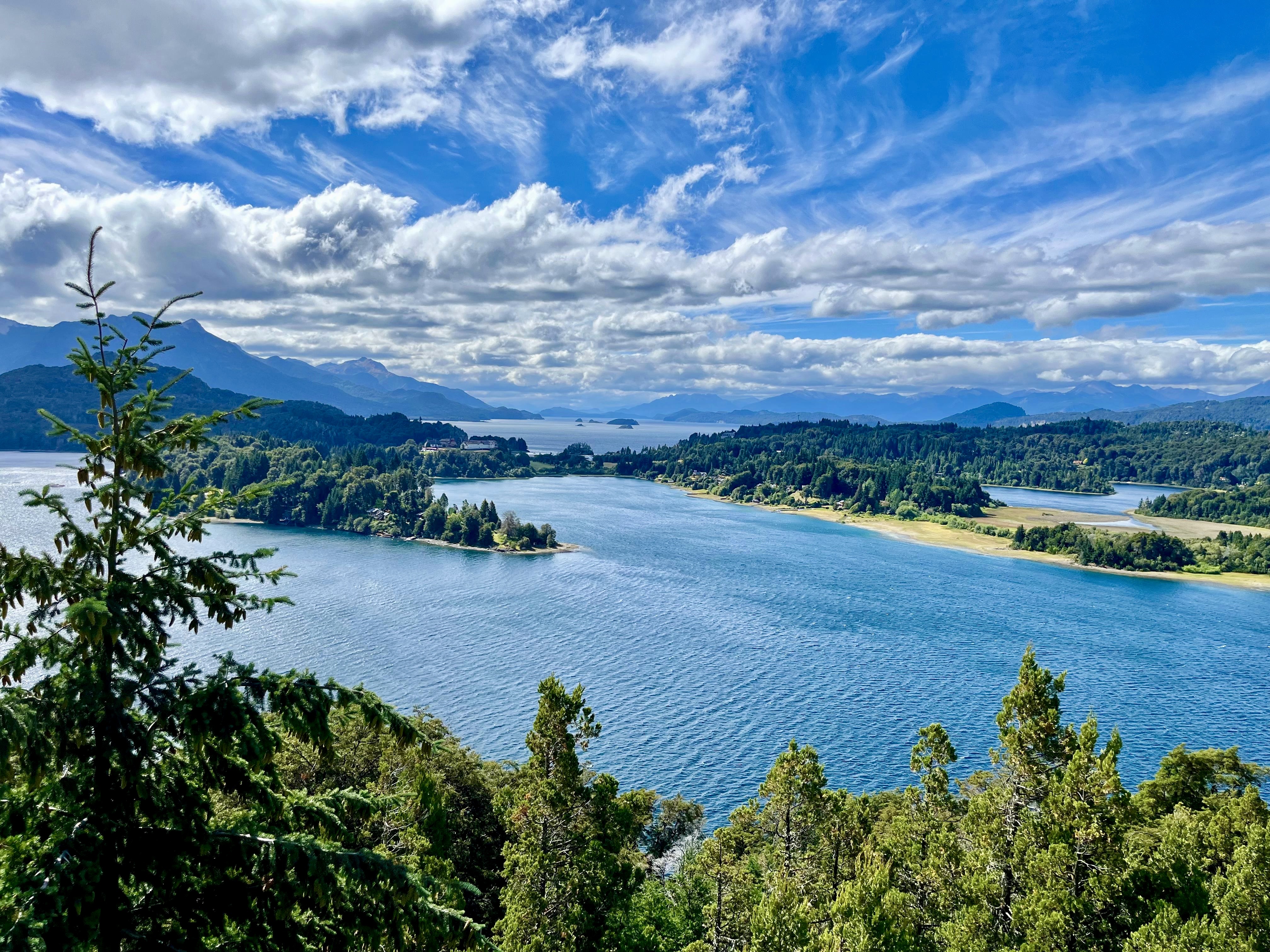 El coihue siempreverde y el arrayán